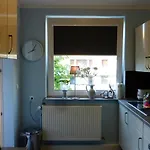 Kleines Seefalke