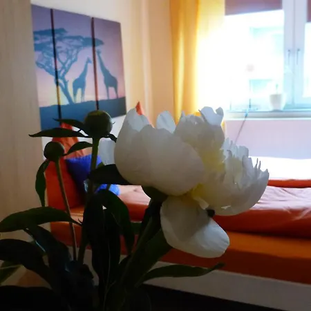 Kleines Seefalke Apartmán Bremerhaven